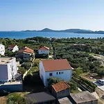 Summerteracea