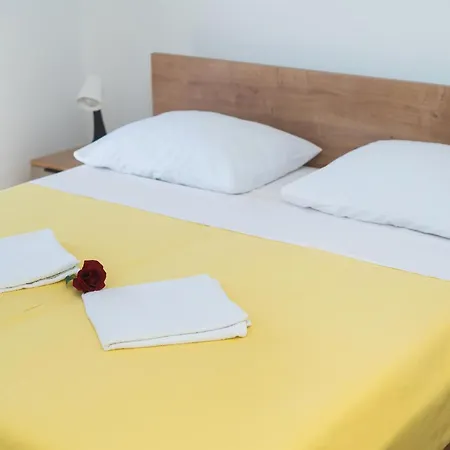 Summerteracea * 보디체