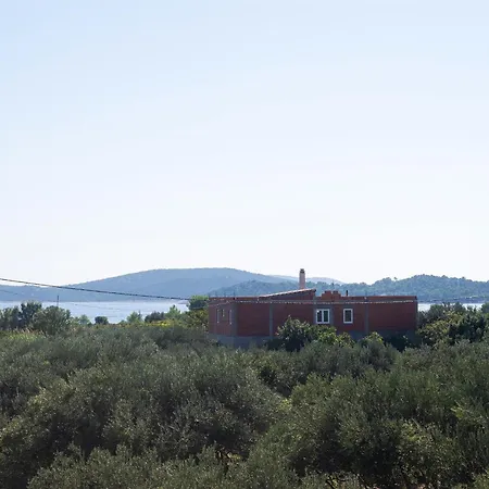 아파트 Summerteracea *