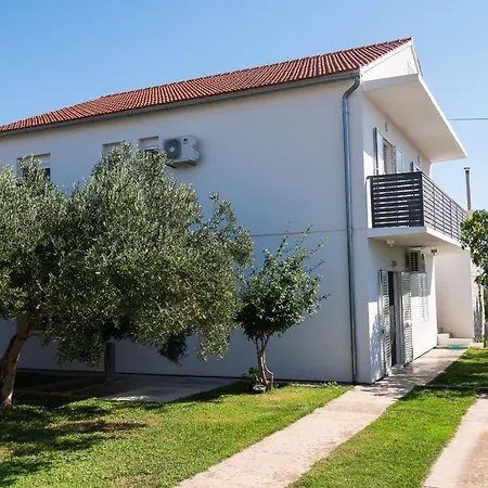 Summerteracea * 보디체