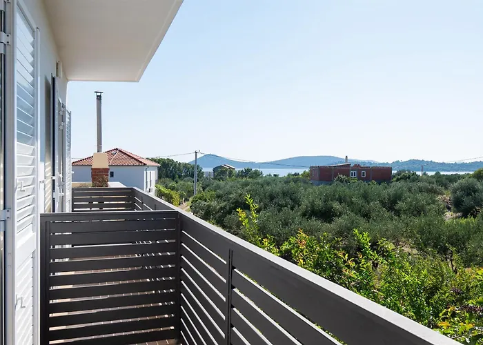 Summerteracea * Vodice