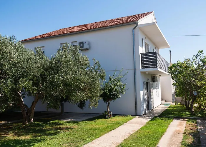 Summerteracea * ヴォディツェ